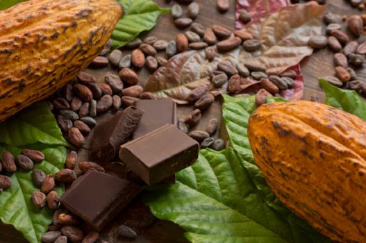 Beneficios y usos de la manteca de cacao para el cabello